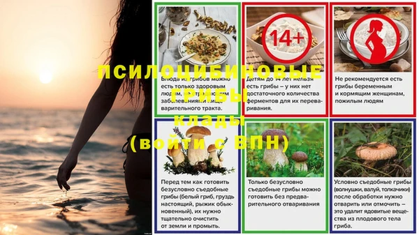 дмт Абинск
