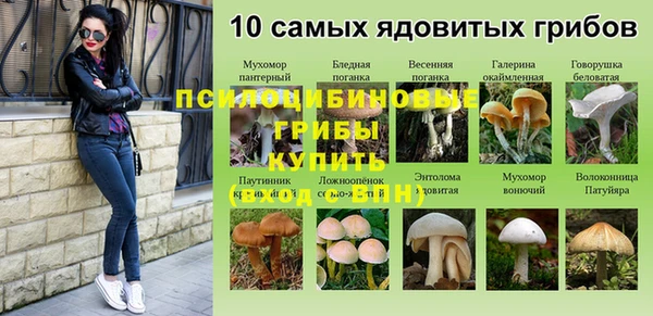 дмт Абинск