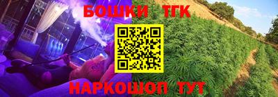 крисы Кандалакша