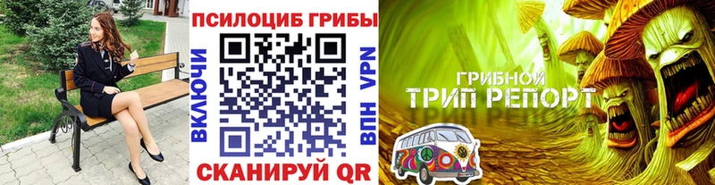 закладка  darknet Telegram  Псилоцибиновые грибы Magic Shrooms  Нижневартовск 