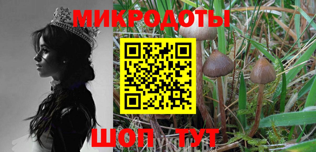 Галлюциногенные грибы ЛСД  Вход с VPN  Галлюциногенные грибы MAGIC MUSHROOMS  купить наркоту  Нижневартовск 